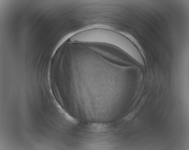 X0000080660910200701050939