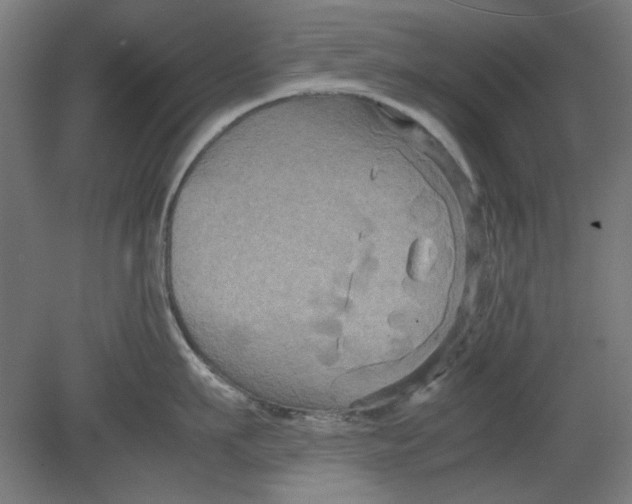 X0000080660911200701050939