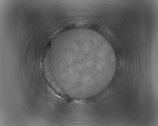 X0000080660914200701050938