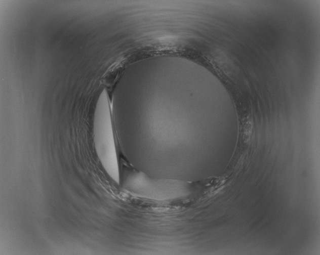 X0000080660916200701050938