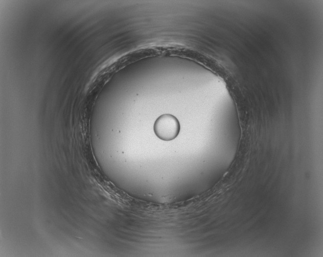 X0000080660920200701050939