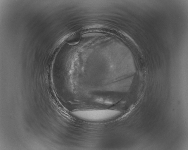 X0000080660921200701050939