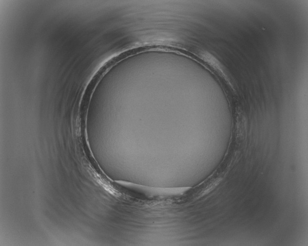 X0000080660924200701050939