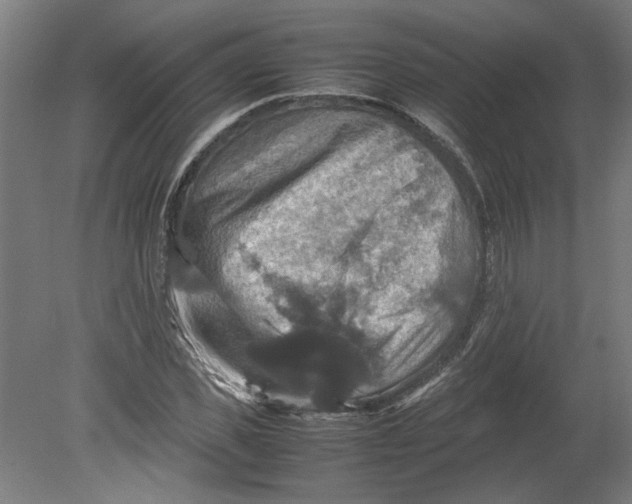 X0000080660925200701050939