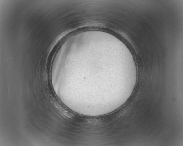 X0000080660927200701050939