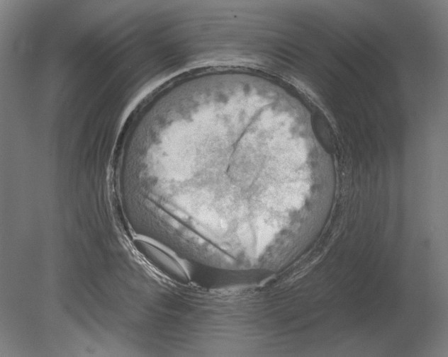 X0000080660928200701050939