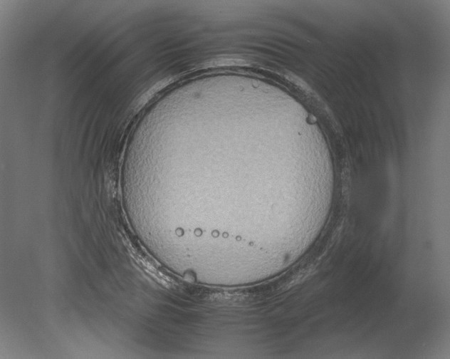 X0000080660929200701050939