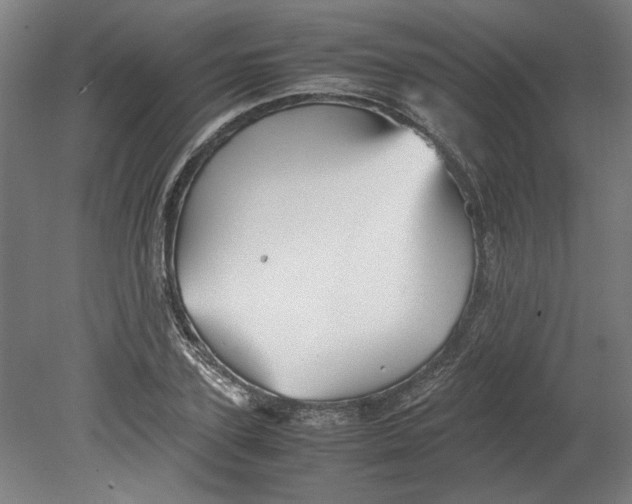 X0000080660931200701050939