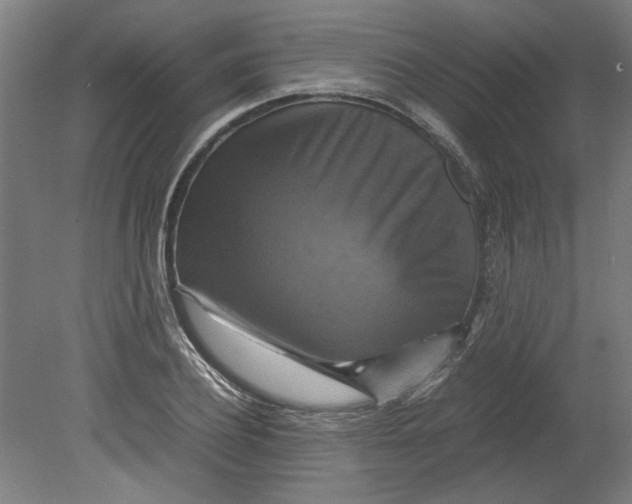 X0000080660932200701050939