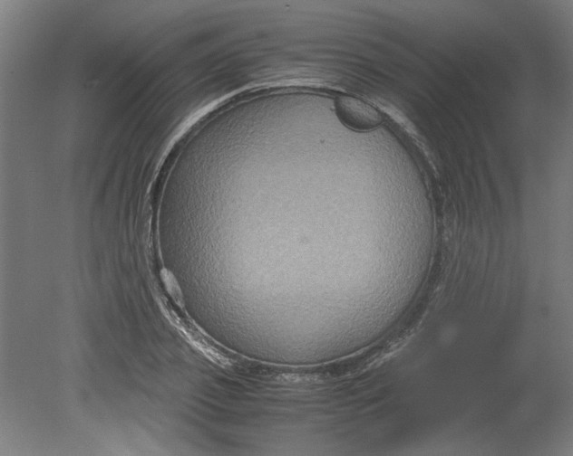 X0000080660933200701050939