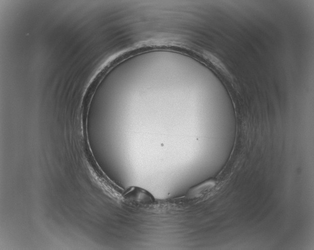 X0000080660934200701050939