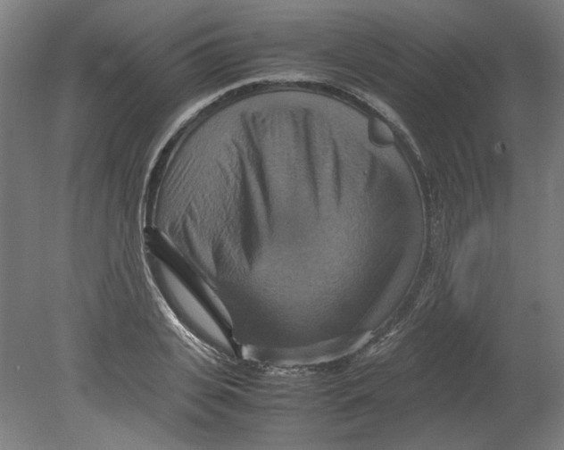 X0000080660935200701050939