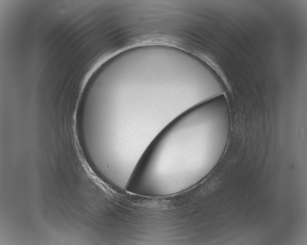 X0000080660936200701050939