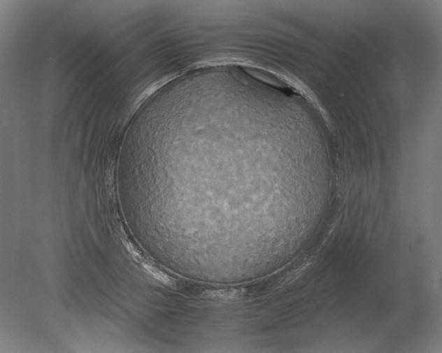 X0000080660937200701050939