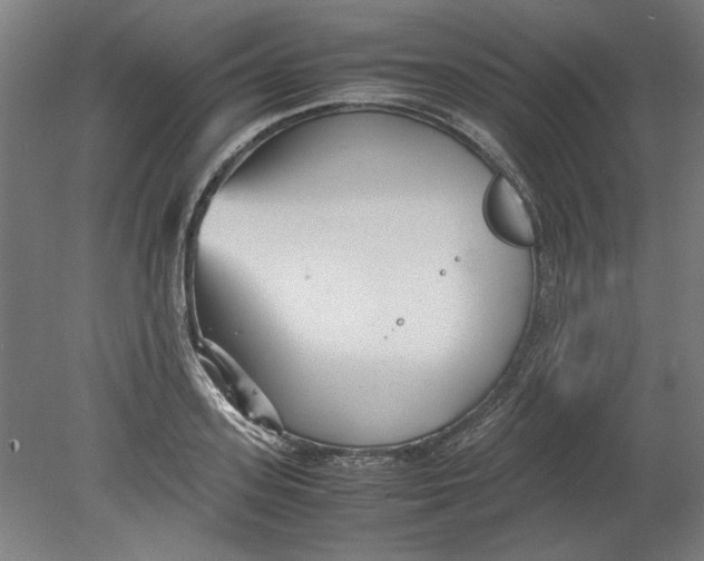 X0000080660939200701050939