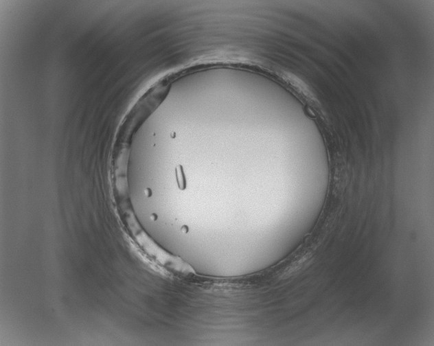 X0000080660942200701050939