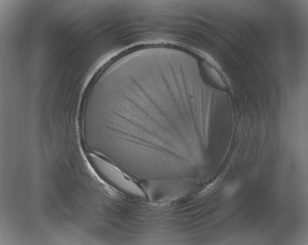 X0000080660943200701050939