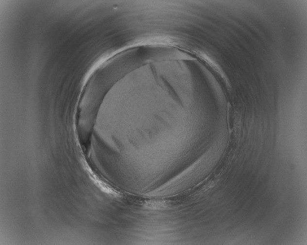 X0000080660944200701050939