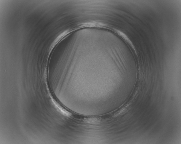 X0000080660946200701050939