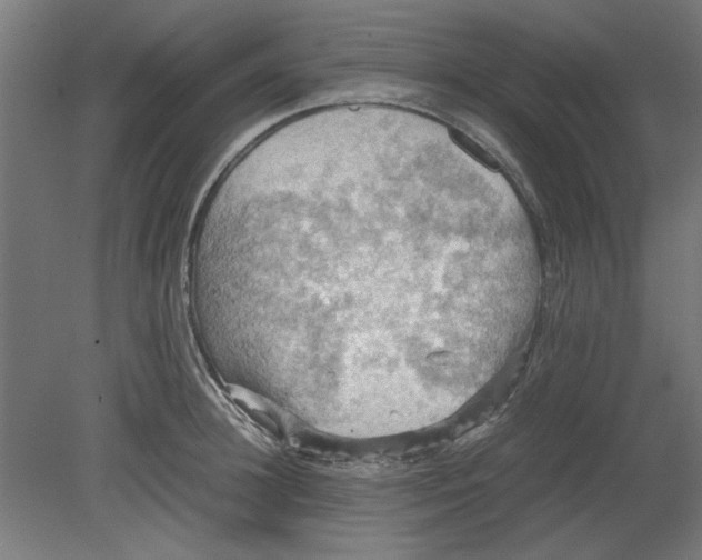 X0000080660948200701050939