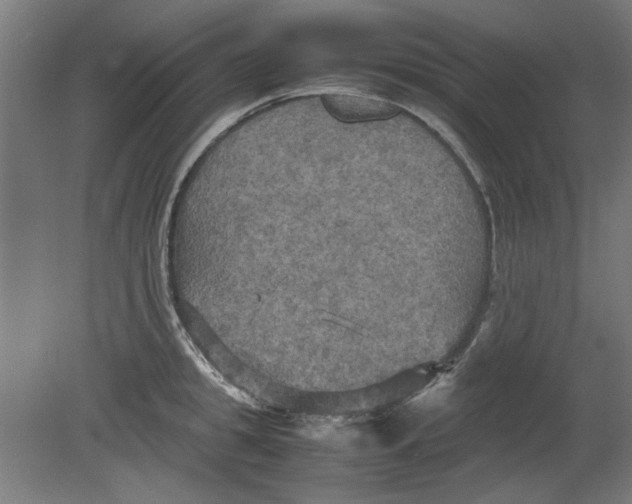 X0000080660949200701050939