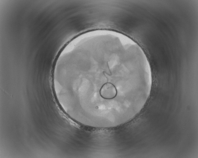 X0000080660950200701050939