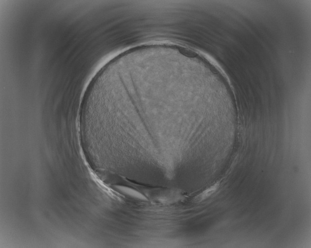 X0000080660951200701050939