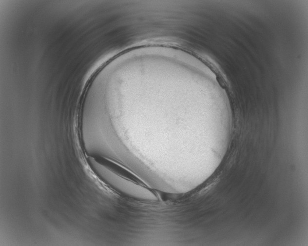 X0000080660952200701050939