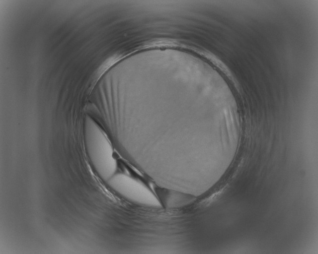 X0000080660953200701050939