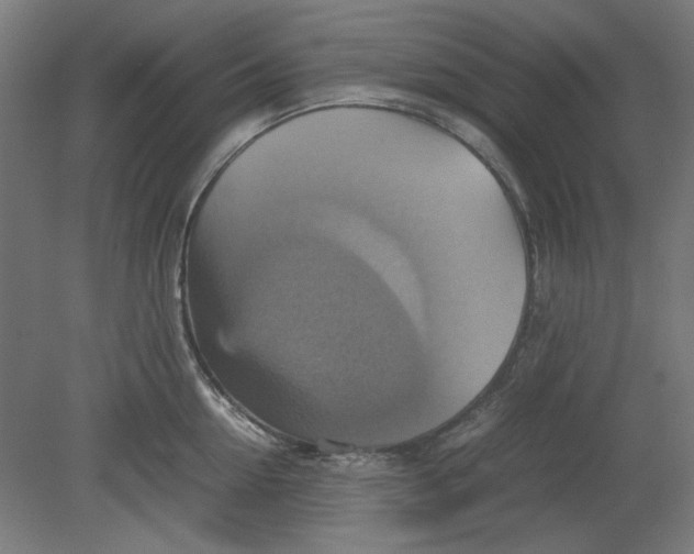 X0000080660954200701050939