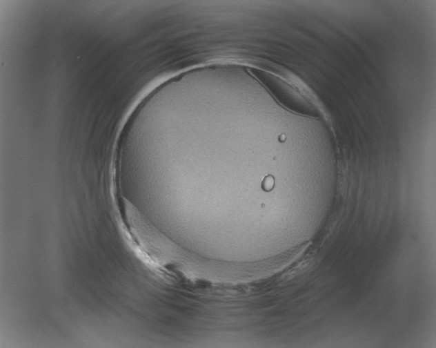 X0000080660955200701050939