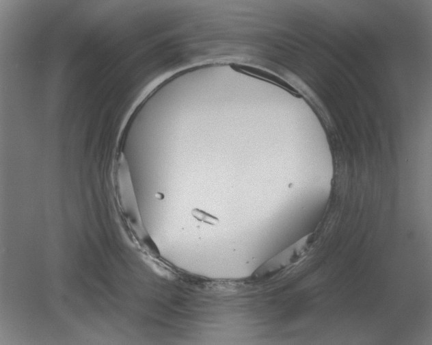 X0000080660956200701050939