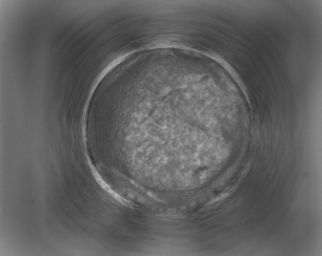 X0000080660957200701050939