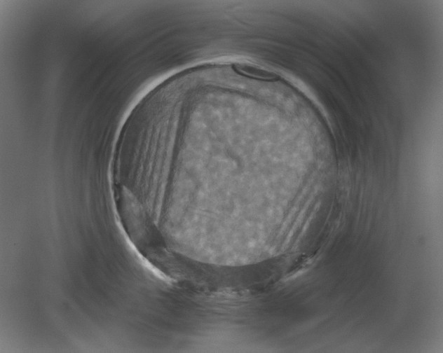 X0000080660959200701050939