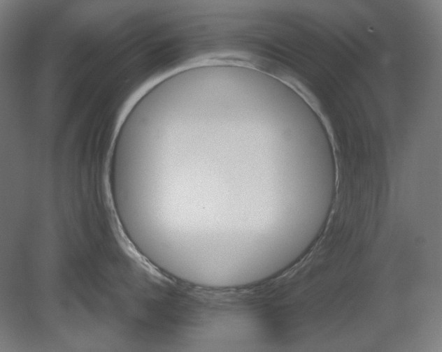 X0000080660960200701050939