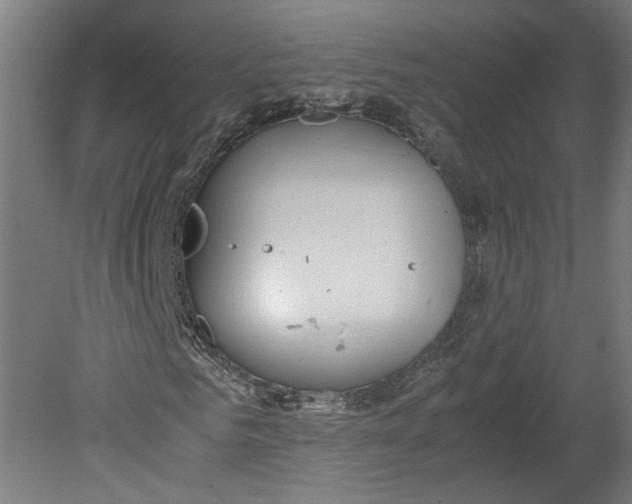 X0000080660961200701050938