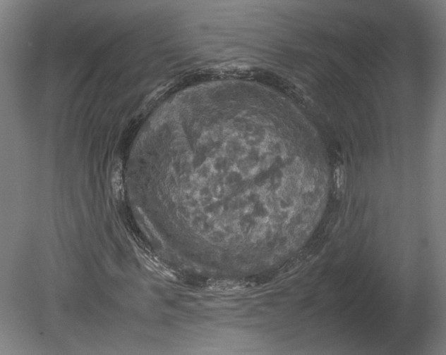 X0000080660963200701050938