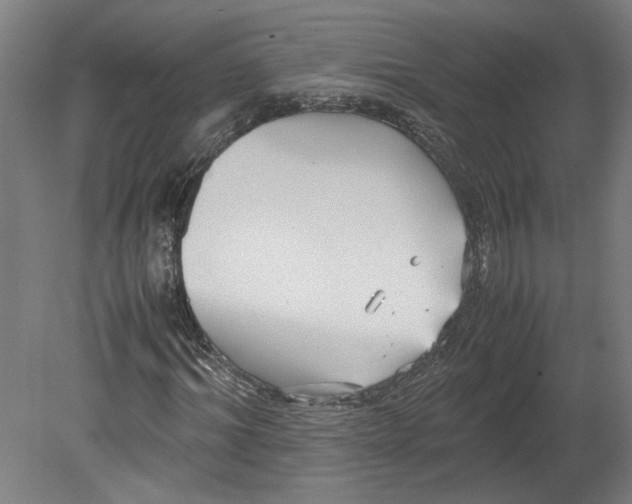 X0000080660964200701050938