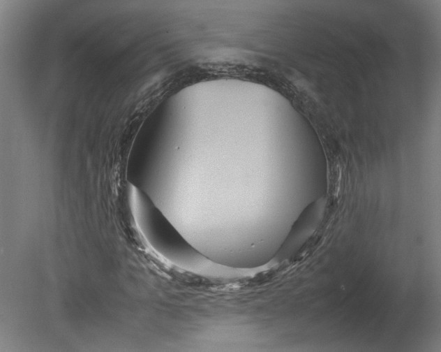 X0000080660965200701050938