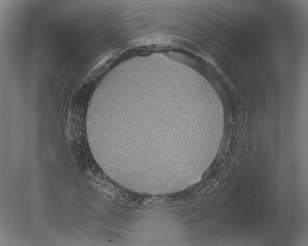 X0000080660967200701050938