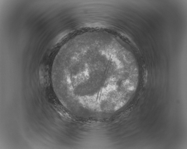 X0000080660968200701050938