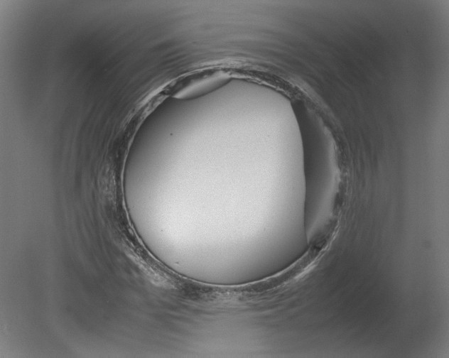 X0000080660969200701050938