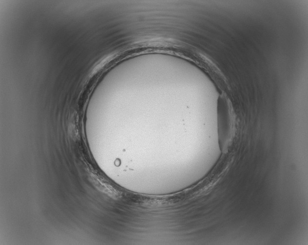 X0000080660970200701050938