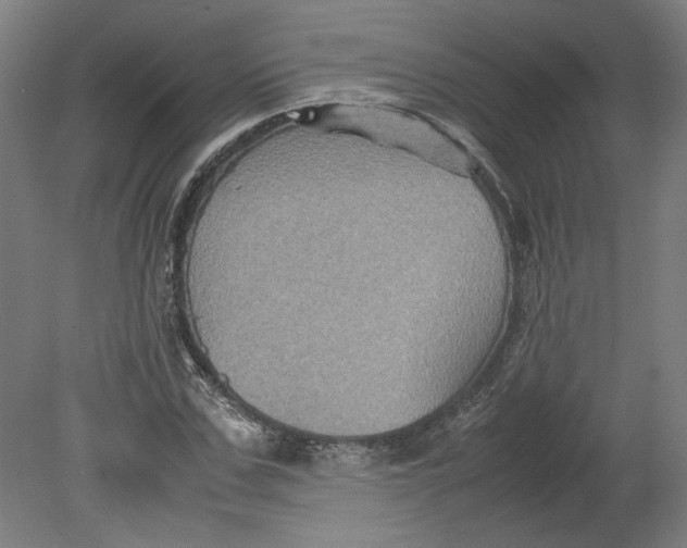 X0000080660971200701050938