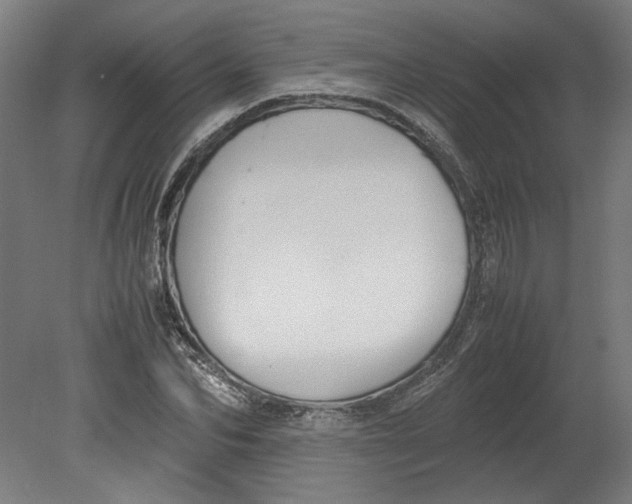 X0000080660974200701050938