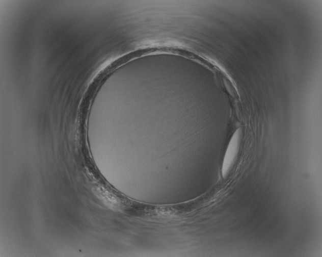 X0000080660975200701050938