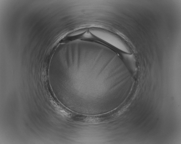 X0000080660977200701050938