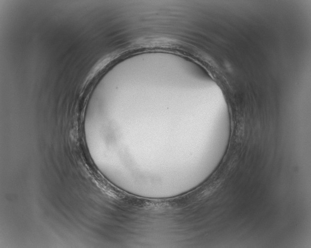 X0000080660978200701050938