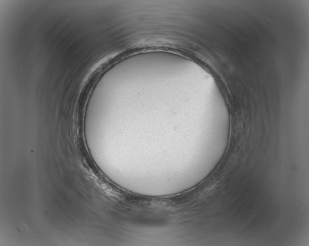 X0000080660979200701050938