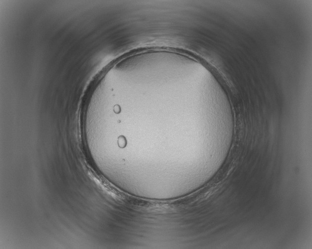 X0000080660982200701050938